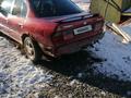 Nissan Primera 1995 года за 700 000 тг. в Кокшетау – фото 2