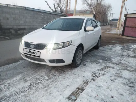 Kia Cerato 2012 года за 5 000 000 тг. в Алматы – фото 8