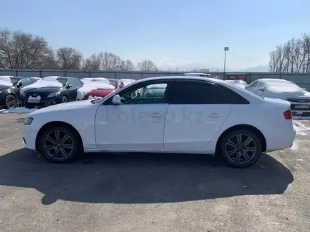 Audi A4 2008 года за 3 805 000 тг. в Алматы – фото 5