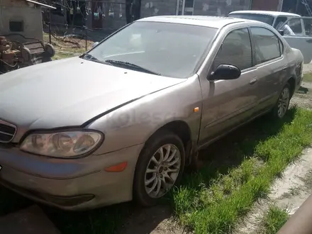 Nissan Maxima 2001 года за 1 000 000 тг. в Шу – фото 6