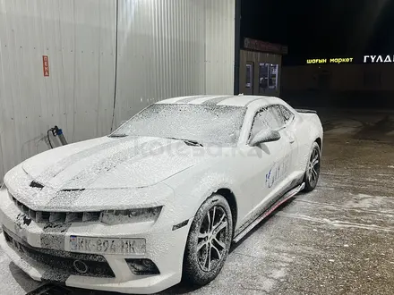 Chevrolet Camaro 2013 года за 6 200 000 тг. в Актау – фото 9