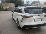Toyota Sienna 2024 годаүшін25 900 000 тг. в Алматы – фото 5