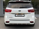 Kia Carnival 2019 года за 13 300 000 тг. в Шымкент – фото 5