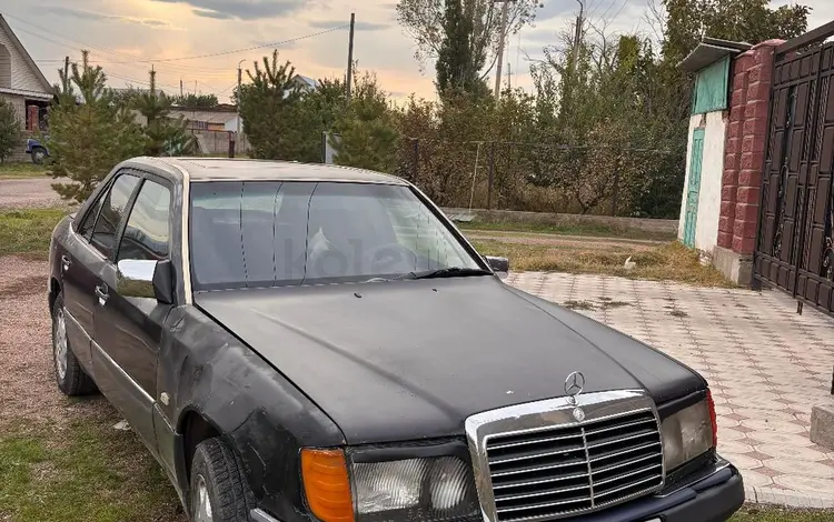 Mercedes-Benz E 260 1992 годаүшін650 000 тг. в Мерке