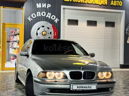 BMW 530 2001 года за 5 500 000 тг. в Тараз – фото 27