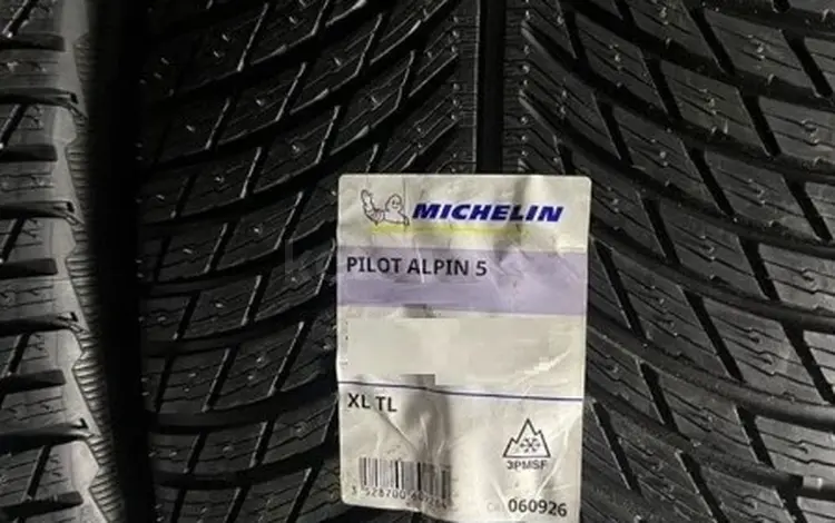 255/45R20 295/40R20 Michelin Pilot Alpine 5 за 1 150 000 тг. в Алматы