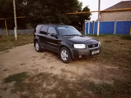 Ford Maverick 2003 года за 4 100 000 тг. в Рудный – фото 5