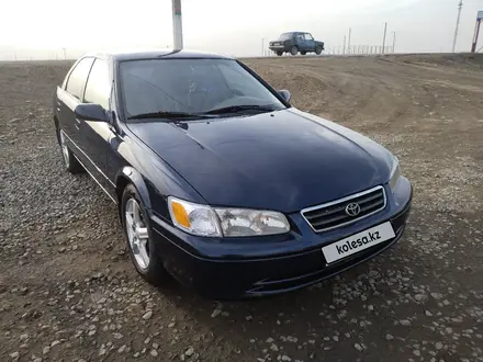 Toyota Camry 2000 года за 3 200 000 тг. в Караганда – фото 6