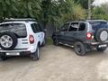 Chevrolet Niva 2015 года за 3 500 000 тг. в Шиели – фото 16