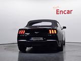 Ford Mustang 2024 года за 23 900 000 тг. в Алматы – фото 4