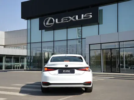 Lexus ES 250 F Sport Design 2025 года за 31 203 900 тг. в Шымкент – фото 4