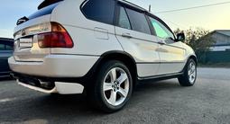 BMW X5 2002 годаүшін5 800 000 тг. в Павлодар – фото 3