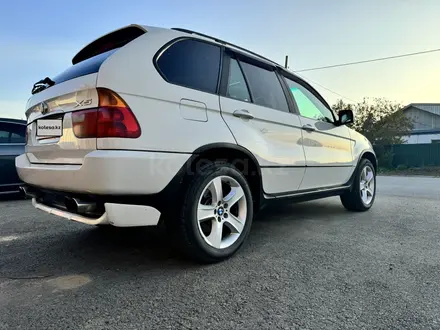 BMW X5 2002 года за 5 800 000 тг. в Павлодар – фото 3