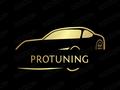 Protuning в Алматы