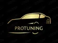 Protuning в Алматы