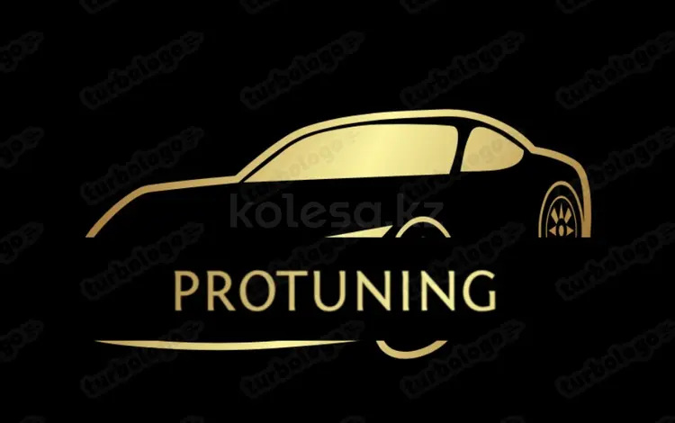 Protuning в Алматы
