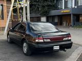 Nissan Cefiro 1997 годаүшін1 650 000 тг. в Алматы – фото 3