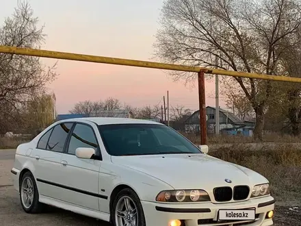 BMW 525 2000 года за 4 700 000 тг. в Алматы – фото 16