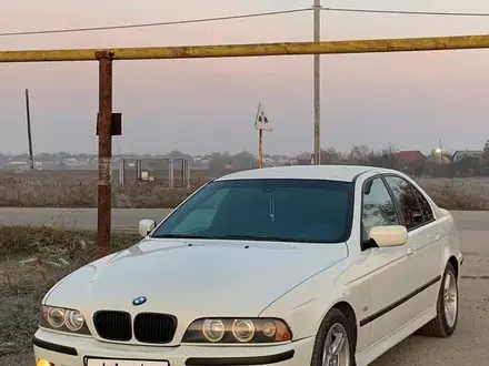 BMW 525 2000 года за 4 700 000 тг. в Алматы – фото 20