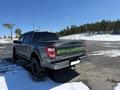 Ford F-Series 2022 года за 29 500 000 тг. в Усть-Каменогорск – фото 5