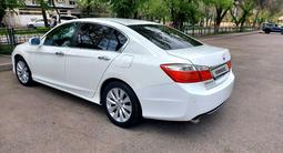 Honda Accord 2013 года за 8 100 000 тг. в Алматы – фото 4