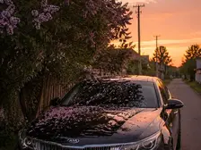 Kia Optima, 2019