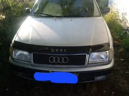 Audi 100 1993 года за 2 500 000 тг. в Петропавловск – фото 3