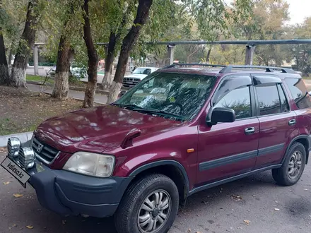 Honda CR-V 1996 года за 3 200 000 тг. в Тараз