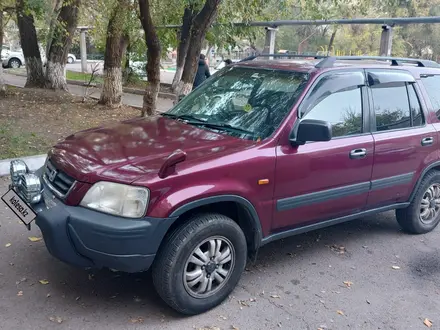 Honda CR-V 1996 года за 3 200 000 тг. в Тараз – фото 3