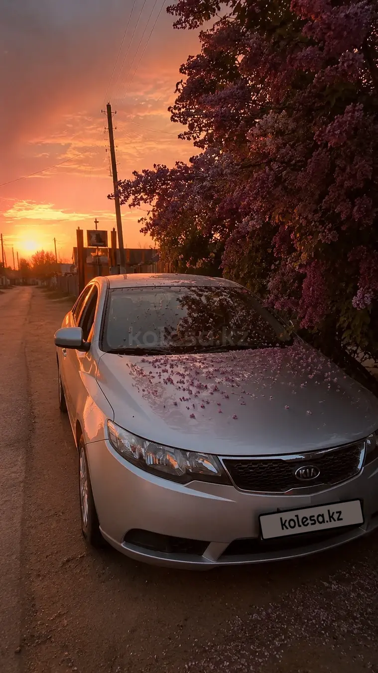 Kia Cerato, 2011