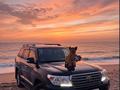 Toyota Land Cruiser 2014 года за 21 500 000 тг. в Шымкент