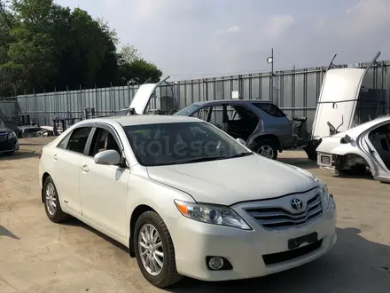 Капот от Toyota Camry 40 за 125 000 тг. в Алматы – фото 2