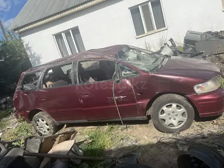 Honda Odyssey 1995 года за 750 000 тг. в Алматы – фото 2
