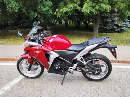 Honda  CBR 250R 2012 года за 1 700 000 тг. в Алматы – фото 2