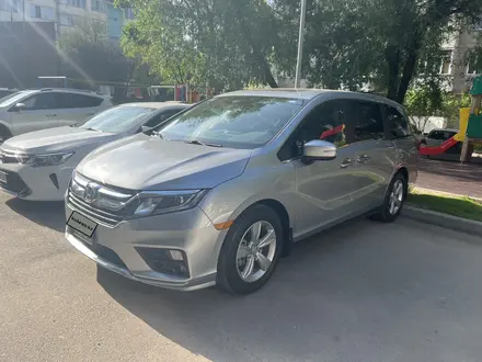 Honda Odyssey 2020 года за 16 000 000 тг. в Алматы – фото 2