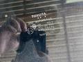 Крышка багажника в сборе бу модно установить без покраса за 2 002 тг. в Алматы – фото 2