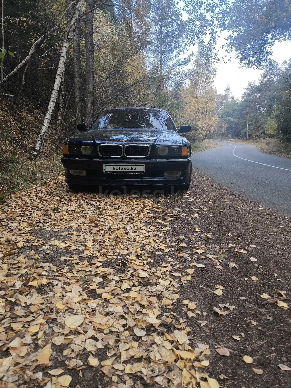BMW 7 Series, 1995