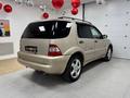 Mercedes-Benz ML 320 2001 года за 4 390 000 тг. в Шымкент – фото 3