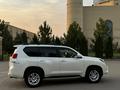 Toyota Land Cruiser Prado 2009 года за 17 000 000 тг. в Алматы – фото 4