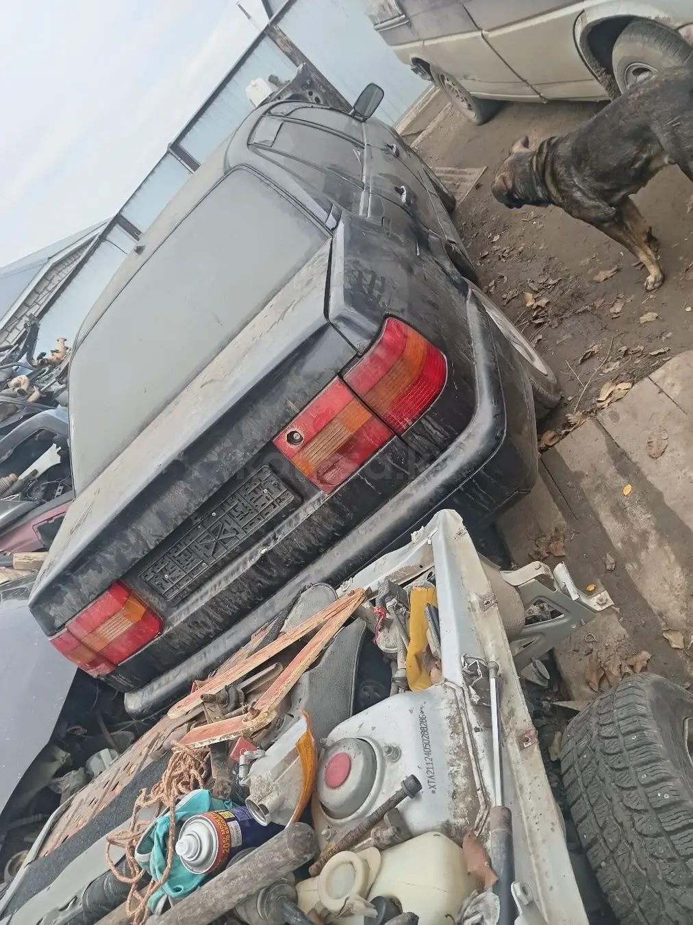 Volkswagen Passat, 1994
