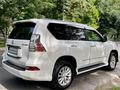 Lexus GX 460 2016 годаүшін23 000 000 тг. в Шымкент – фото 2