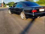 Mercedes-Benz S 320 1995 годаүшін2 500 000 тг. в Костанай – фото 3