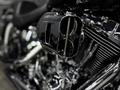 Harley-Davidson  HERITAGE SOFTAIL 2003 года за 6 250 000 тг. в Алматы – фото 9