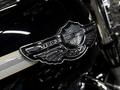 Harley-Davidson  HERITAGE SOFTAIL 2003 года за 6 250 000 тг. в Алматы – фото 19