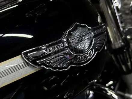 Harley-Davidson  HERITAGE SOFTAIL 2003 года за 6 250 000 тг. в Алматы – фото 19