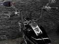 Harley-Davidson  HERITAGE SOFTAIL 2003 года за 6 250 000 тг. в Алматы – фото 20