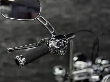 Harley-Davidson  HERITAGE SOFTAIL 2003 года за 6 250 000 тг. в Алматы – фото 22