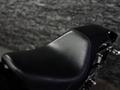 Harley-Davidson  HERITAGE SOFTAIL 2003 года за 6 250 000 тг. в Алматы – фото 27