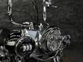 Harley-Davidson  HERITAGE SOFTAIL 2003 года за 6 250 000 тг. в Алматы – фото 4