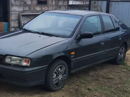 Nissan Primera 1991 года за 1 300 000 тг. в Павлодар – фото 4